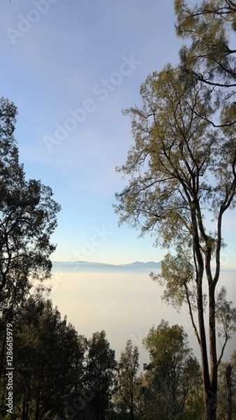 Fototapeta Sky-High Serenity: A View from Above the Clouds
