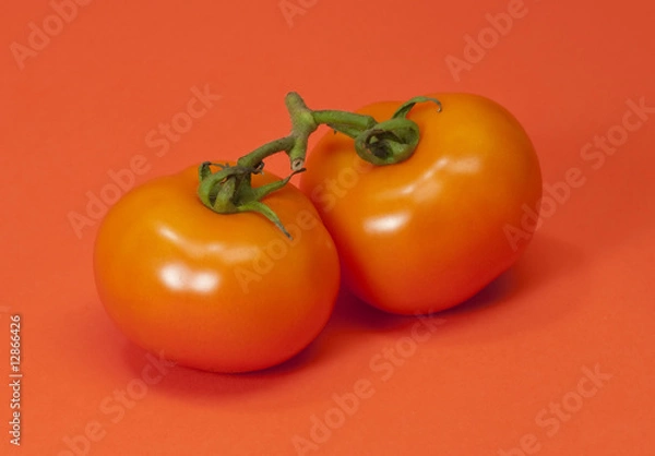 Fototapeta Vine ripe tomatoes