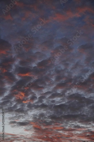Fototapeta Atmospheric Light Scattering on Evening Cloudscape

