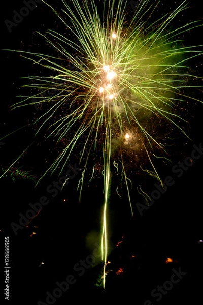 Obraz fuegos artificiales