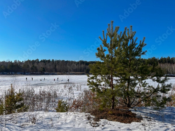 Fototapeta A frozen pond in the forest in winter, and people skate on it