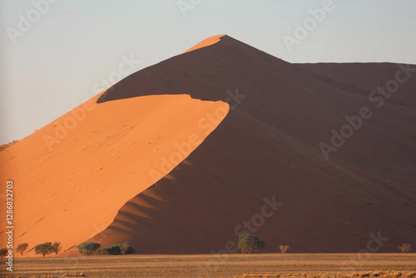 Obraz Sand dunes in Namibia