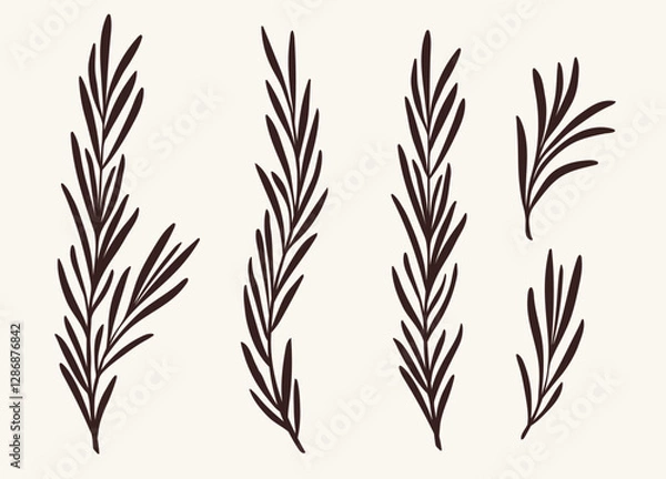 Fototapeta Rosemary branches collection, flat vector illustration