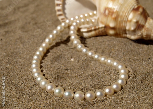 Obraz bijoux et nacre