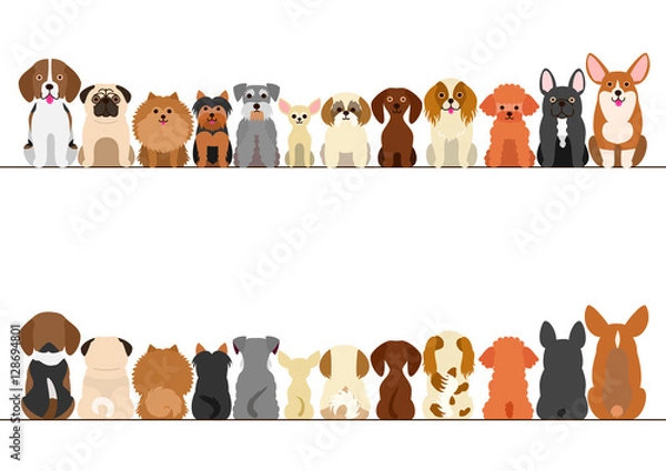 Fototapeta small dogs border set, front view and rear view