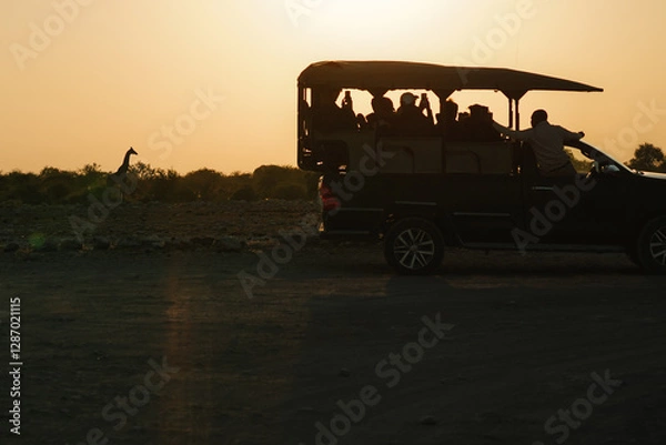 Obraz Several cars with tourists parking together and watching giraffes at dawn in national park Etosha in Namibia