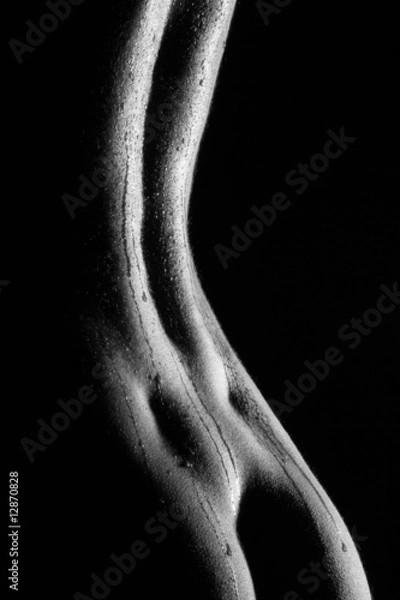 Obraz Akt kobiecy 66