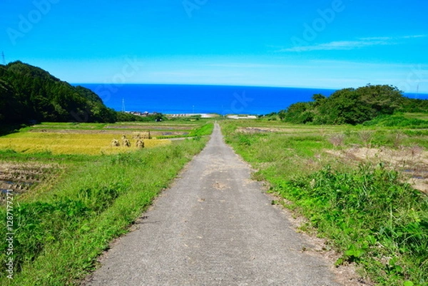Fototapeta 村上中浜の棚田（新潟県）