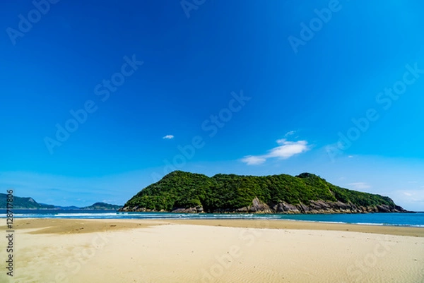 Obraz 日南海岸　幸島