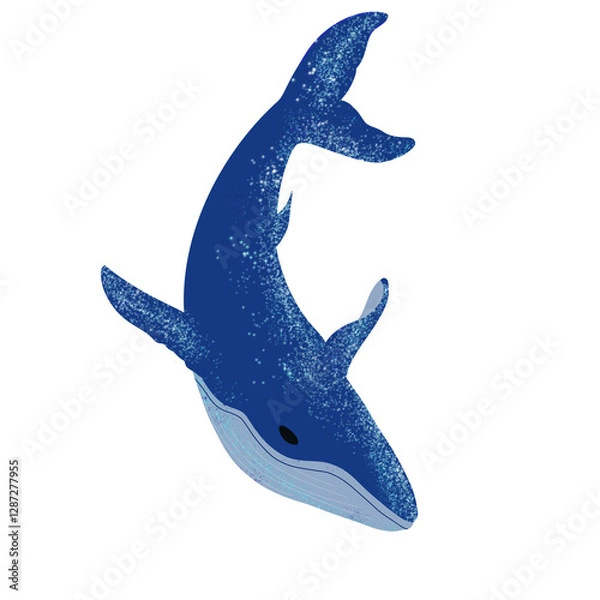 Obraz beautiful whale