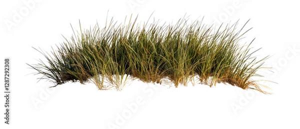 Fototapeta Lush green grass clump with vibrant blades, showcasing a natural texture and organic form. isolated on white background.