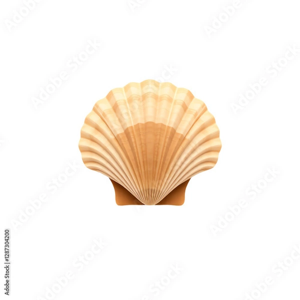 Fototapeta Detailed Close-Up of a Scallop Shell on Transparent Background