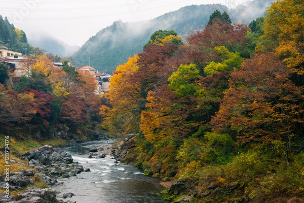 Obraz autumn in Mitake-George Japan