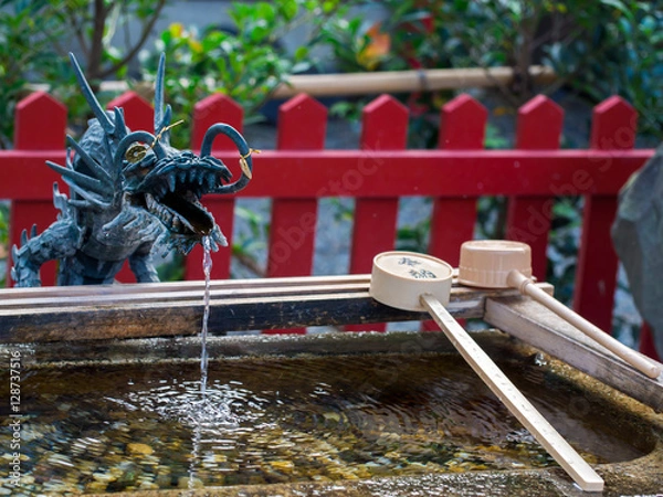 Fototapeta shrine dipper