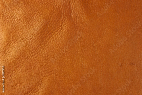 Obraz tan leather
