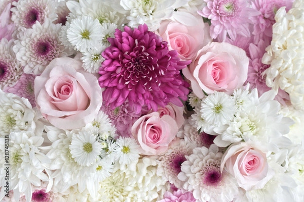 Obraz Pink and White flowers