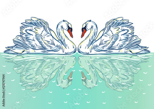 Fototapeta Vector illustration with handdrawn Swan