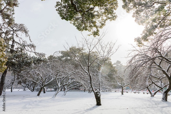 Obraz A snow-covered park.