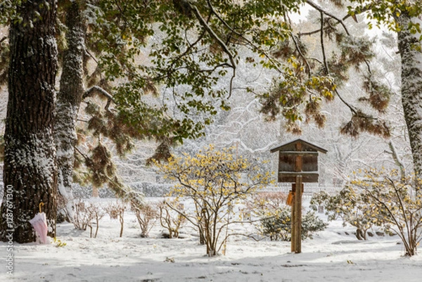 Obraz A snow-covered park.