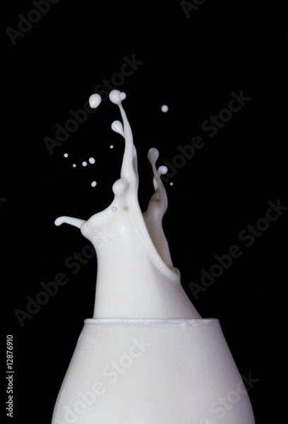 Obraz Milk