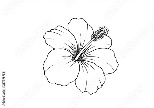 Fototapeta Elegant Hibiscus Line Drawing Clean White Background. AI Generated