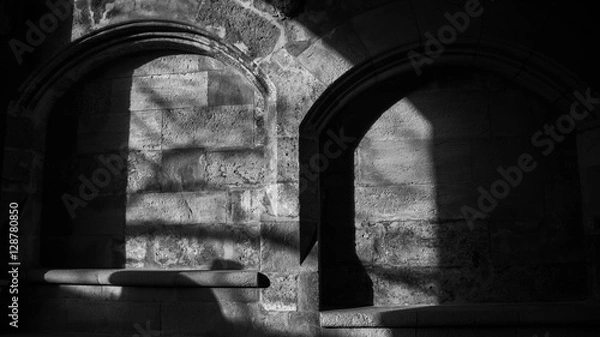 Obraz castle windows in stone
