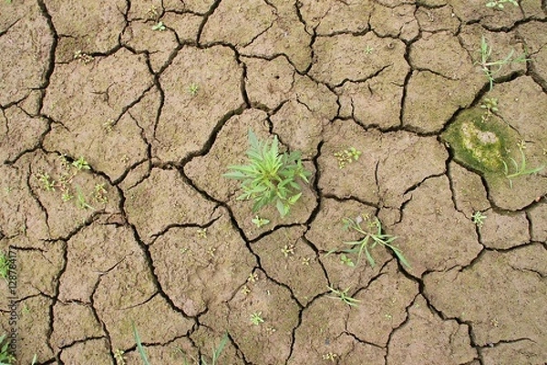 Fototapeta Desertification
