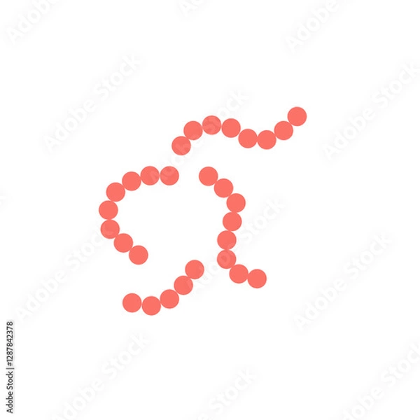 Obraz streptococcus pyogenes