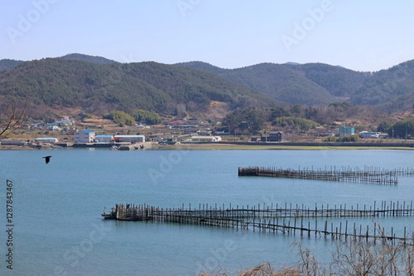 Obraz 한국 남해 자족해협 죽방렴