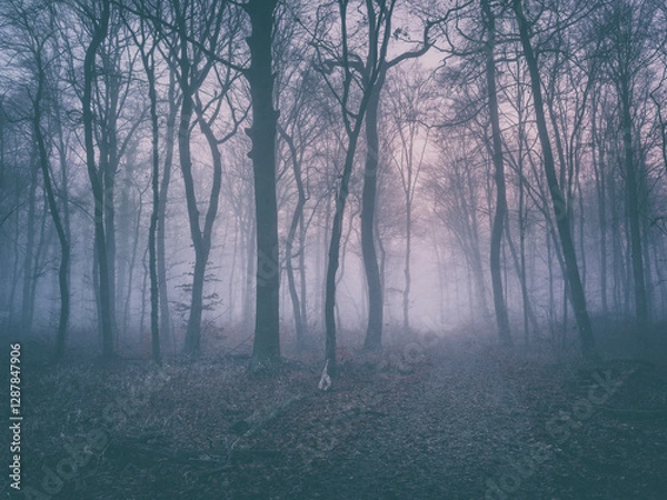 Fototapeta Haunted forest with fog at dusk, analogue vintage toning