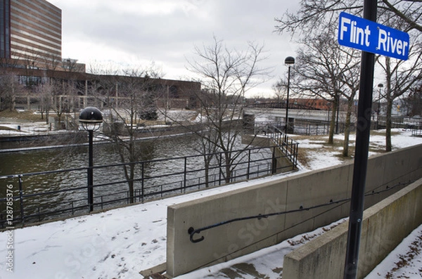 Fototapeta The Flint River