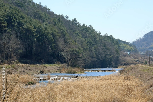 Obraz 한국의 봄 풍경