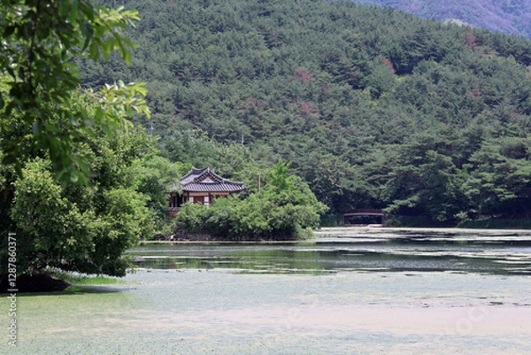 Obraz 한국 밀양 위양지