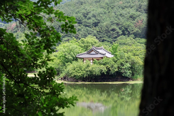 Obraz 한국 밀양 위양지