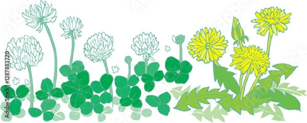 Obraz シロツメクサとタンポポ