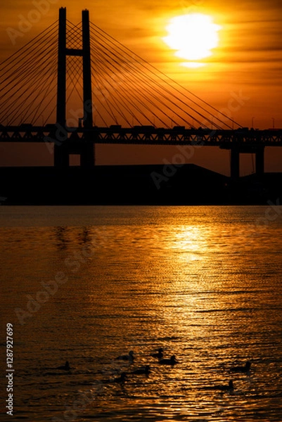 Obraz 朝日と大橋