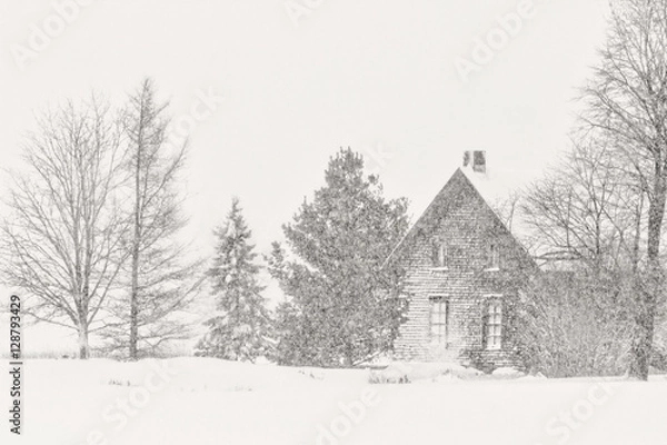 Obraz Absence de couleur