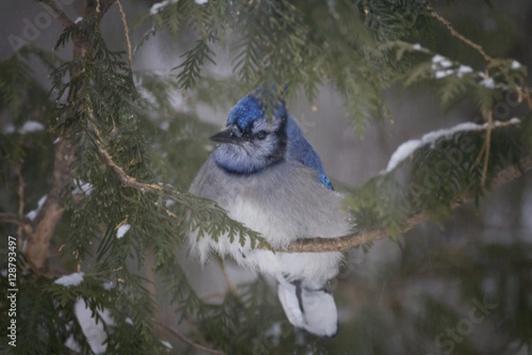 Obraz À l'abri de la tempête