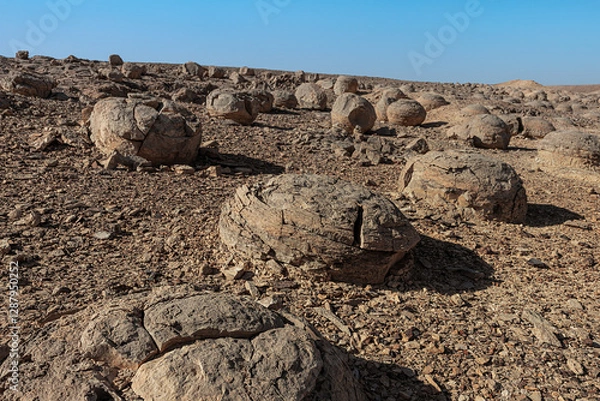 Fototapeta Bulbusim. Bottom of the ancient Tethys Ocean