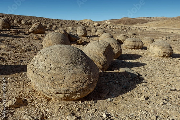 Fototapeta Bulbusim,  at the bottom of the ancient Tethys Ocean