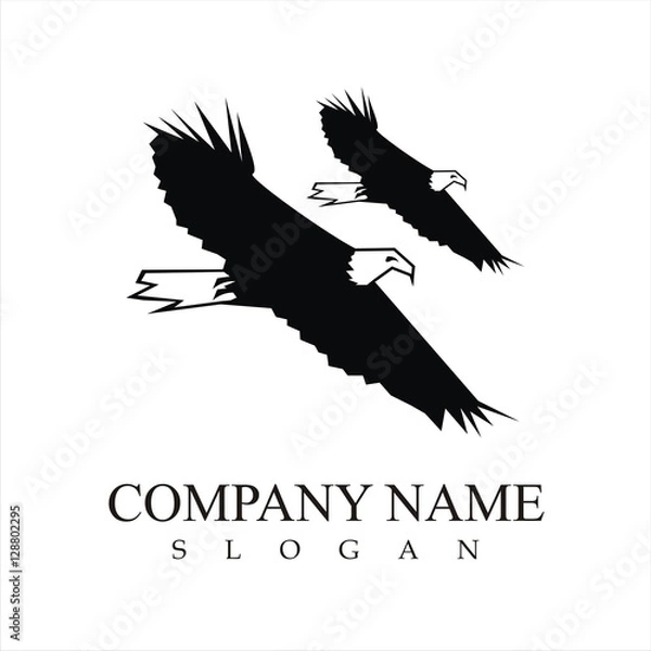 Obraz eagle in flight