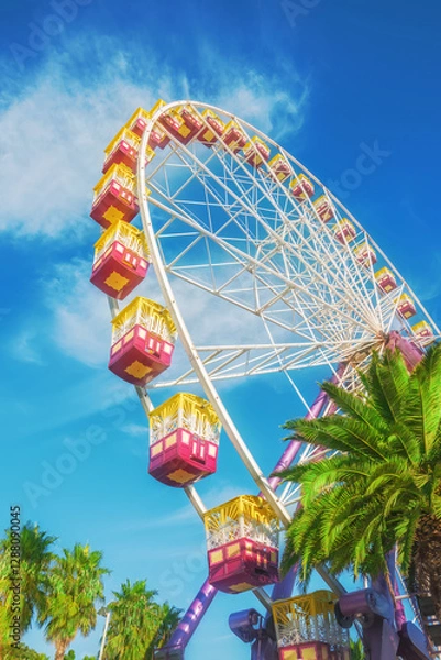 Obraz A tall Ferris wheel and palm trees on a sunny day