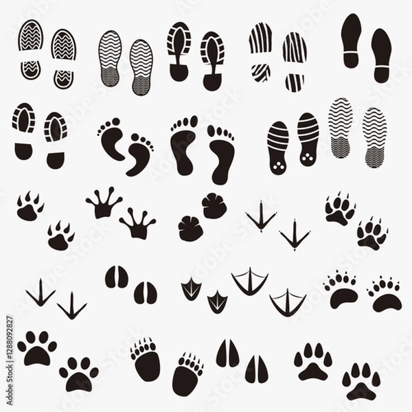 Obraz footprints-shadows-animals-human