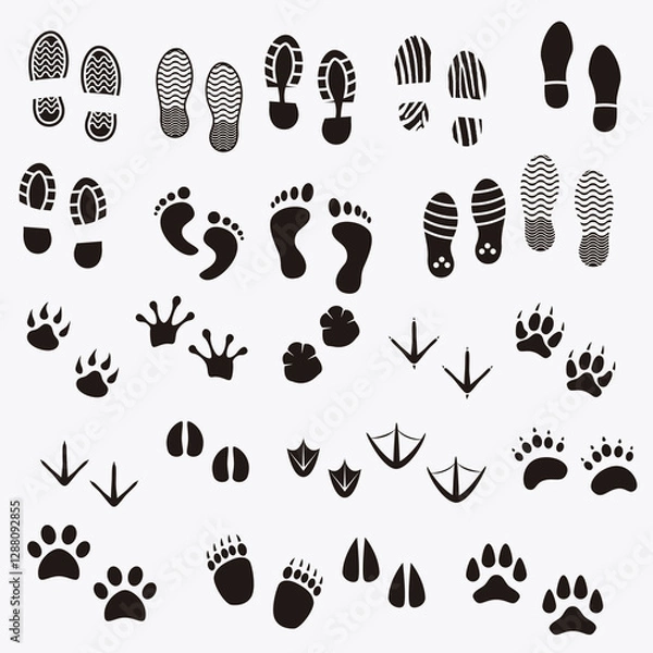 Obraz Footprints shadows animals human 01