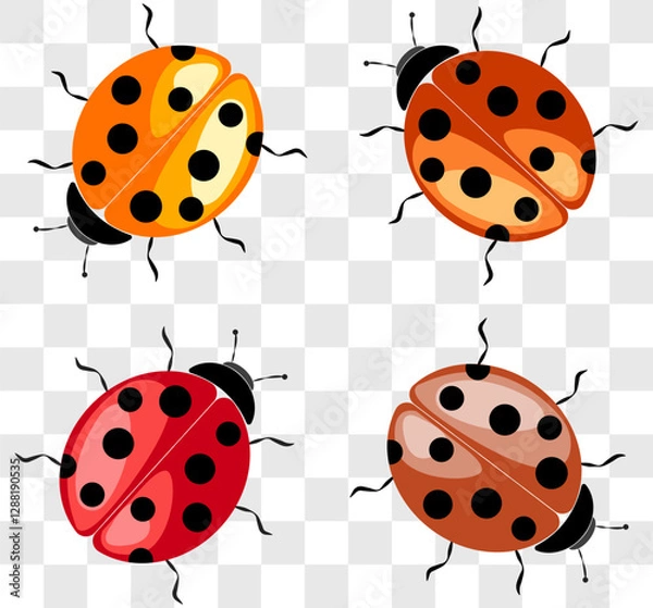 Fototapeta Colorful vector illustration of ladybugs in various colors and patterns on a transparent background