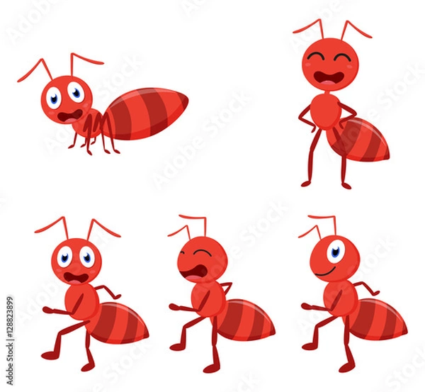 Obraz Cute ant cartoon cartoon collection set