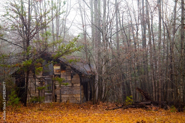 Obraz Shack in Fall