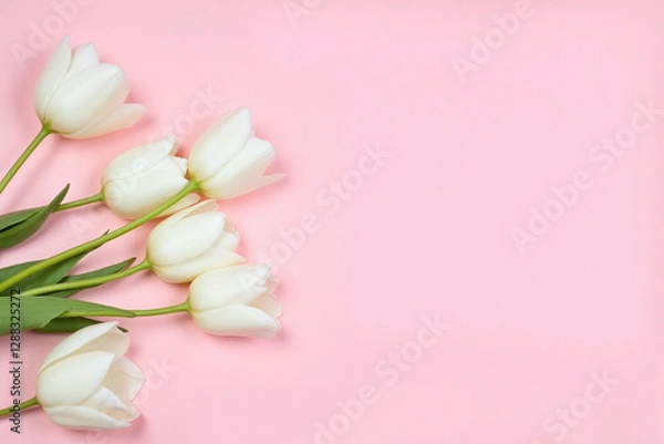 Obraz white tulips on a pink background
