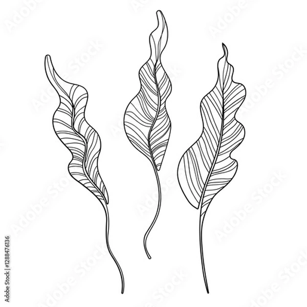 Obraz Elegant silhouettes of leaves, grass, branches create stunning visual effects for art projects.
