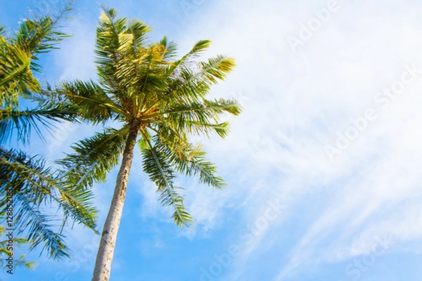 Obraz Sky of the tropics